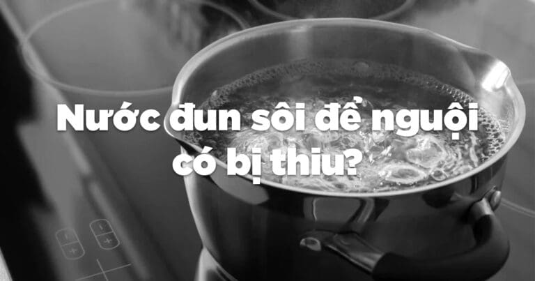 nuoc dun soi 1i