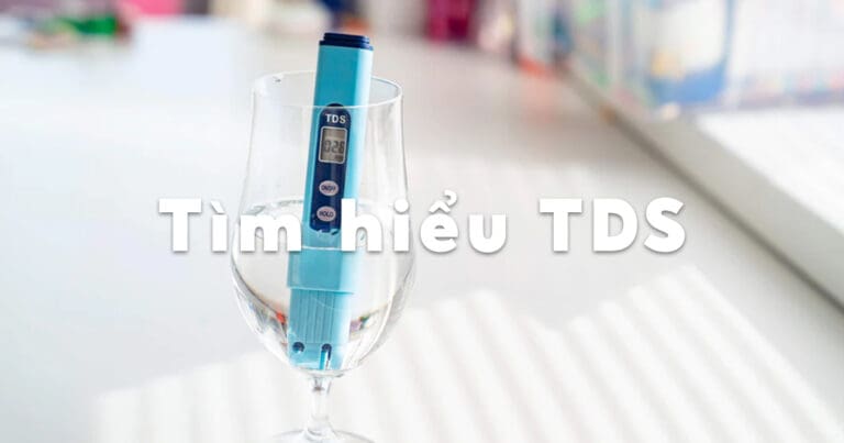 tds la gi