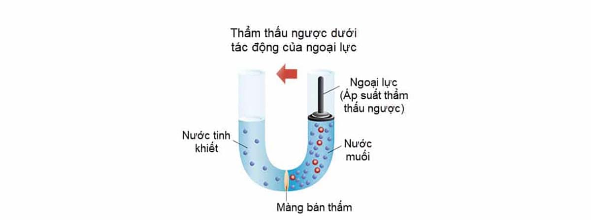 công nghệ lọc nước thẩm thấu ngược RO