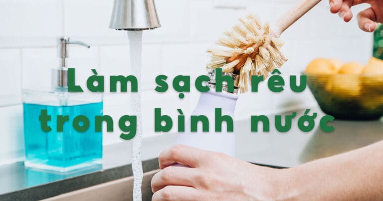 lam sach reu trong binh nuoc