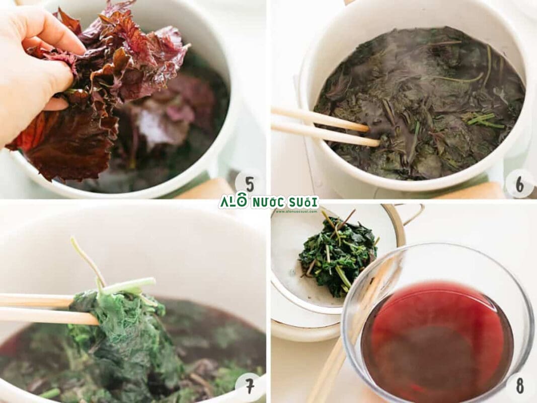 Cách nấu nước lá tía tô