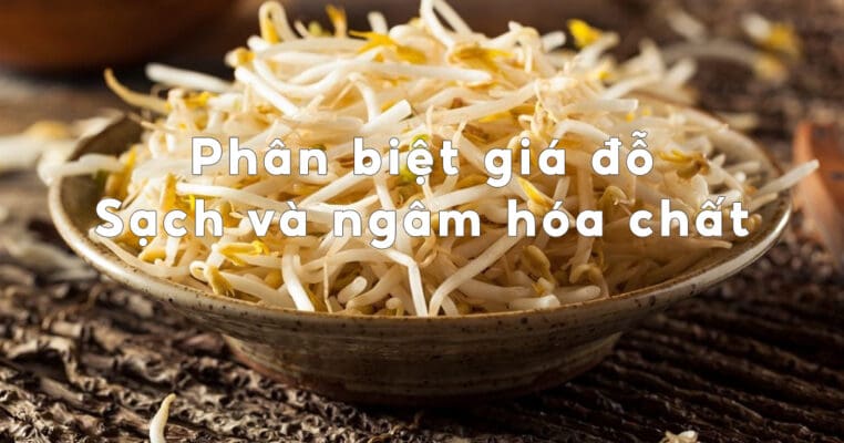 gia do ngam hoa chat 1