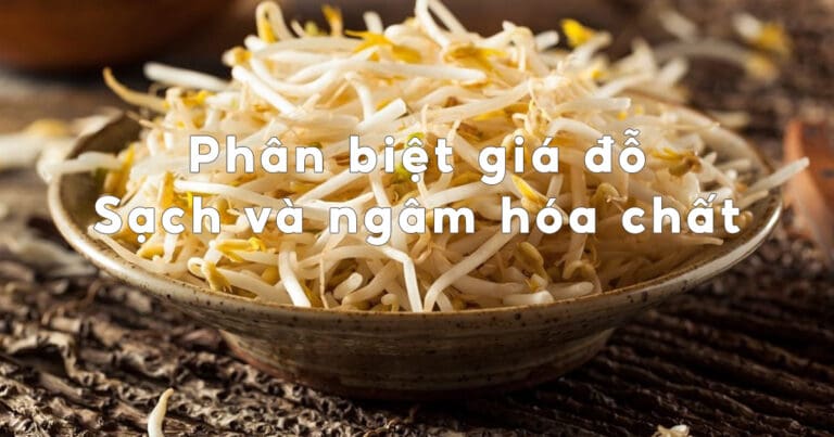 gia do ngam hoa chat 1